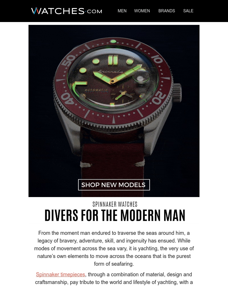 Screenshot of email with subject /media/emails/dive-dive-dive-cropped-ea575cdd.jpg