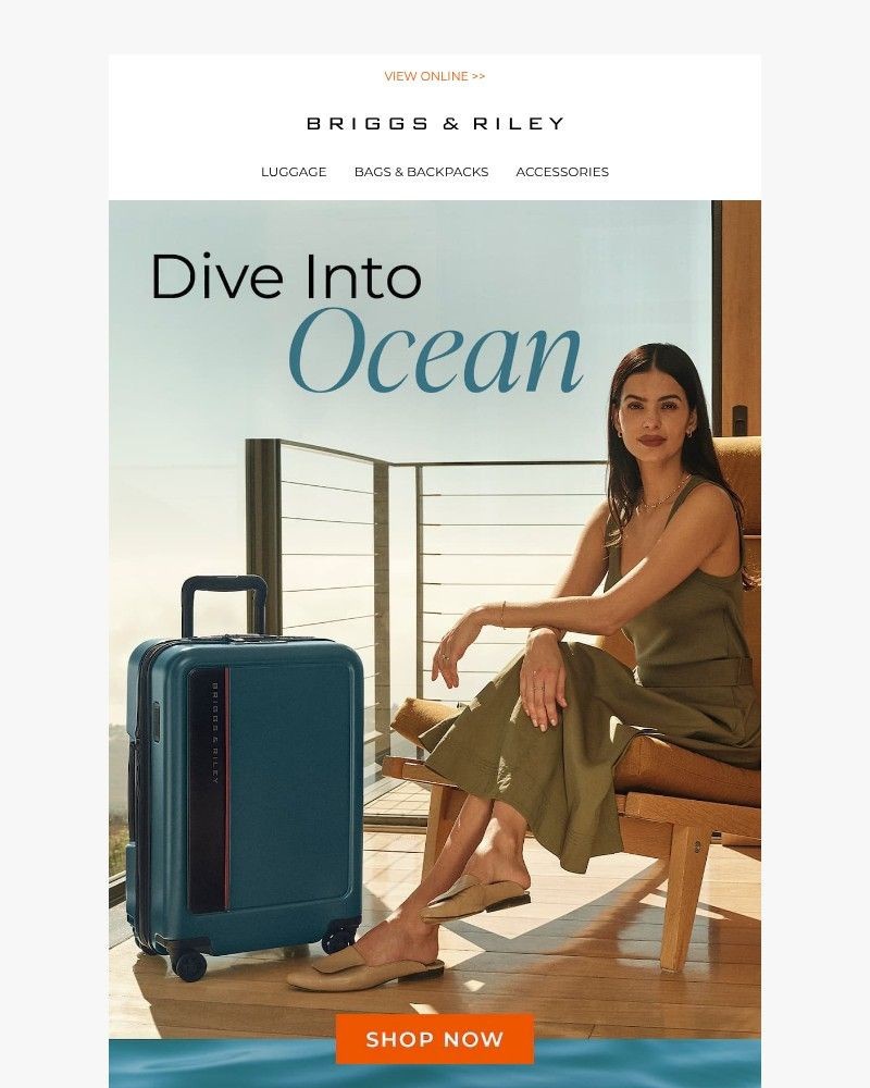 Screenshot of email with subject /media/emails/dive-into-ocean-now-available-in-hardside-95ef7d-cropped-8d67406d.jpg