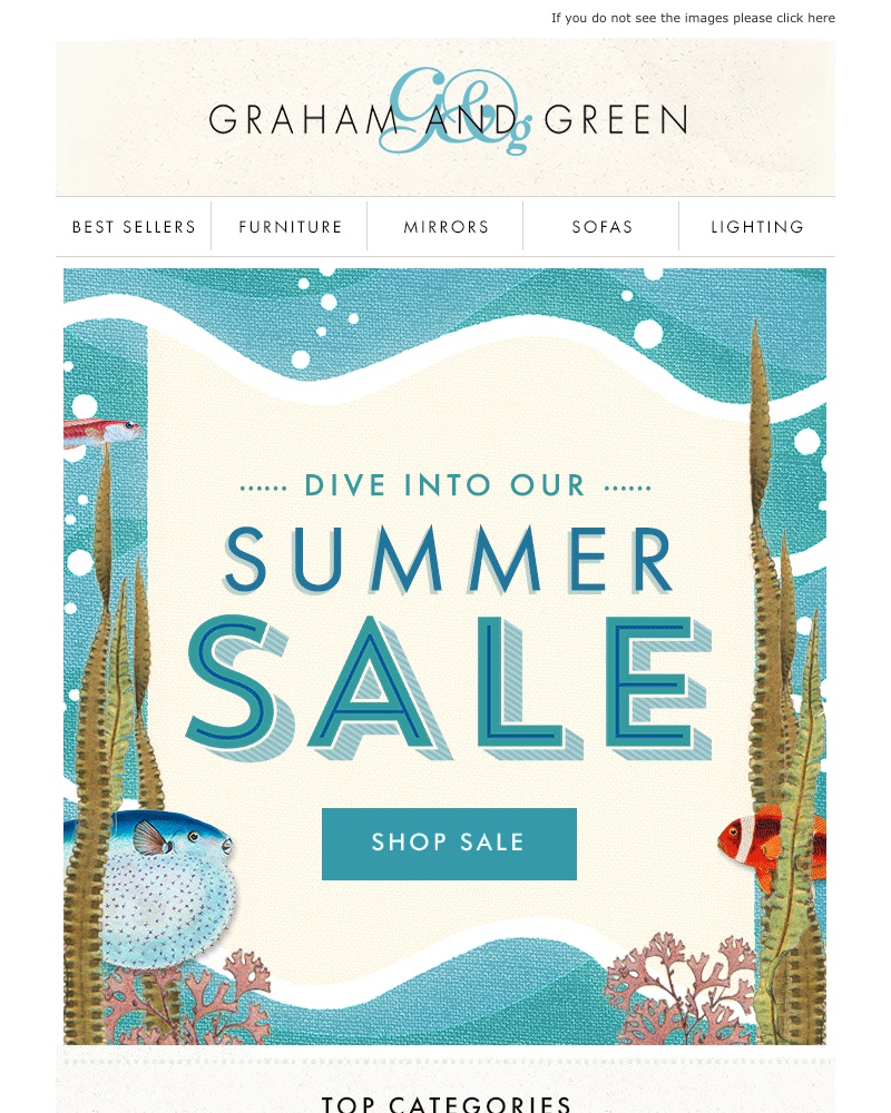 Screenshot of email with subject /media/emails/dive-into-our-summer-sale-8a0661-cropped-24b455ac.jpg