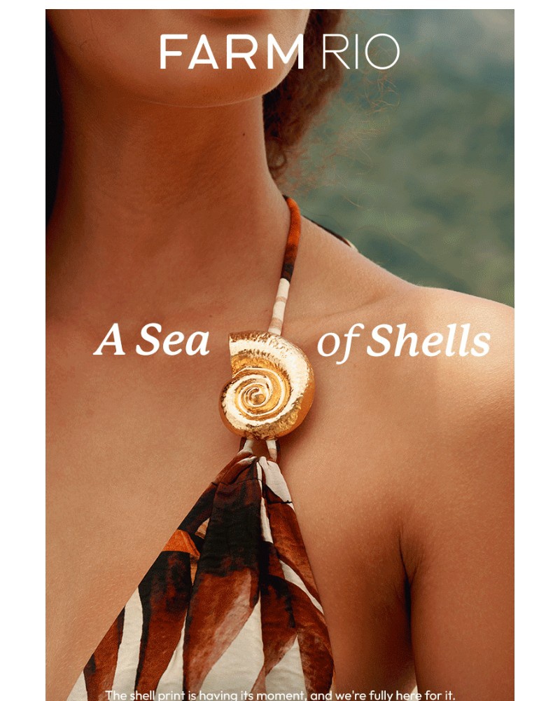 Screenshot of email with subject /media/emails/dive-into-shell-inspired-prints-7598f8-cropped-90c05a0c.jpg