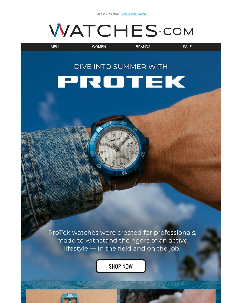 Screenshot of email with subject /media/emails/dive-into-summer-with-protek-0529e2-cropped-0c4daef1.jpg