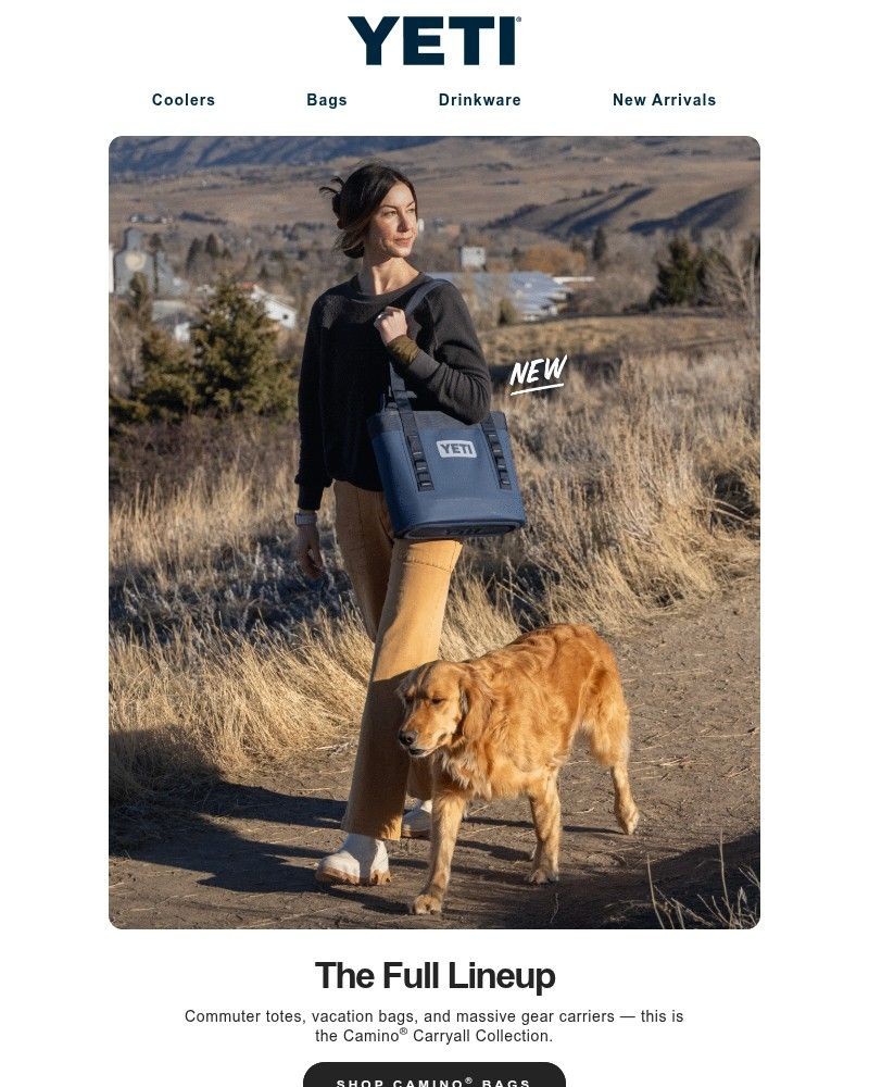 Screenshot of email with subject /media/emails/dive-into-the-camino-carryall-collection-247c0c-cropped-878ec396.jpg