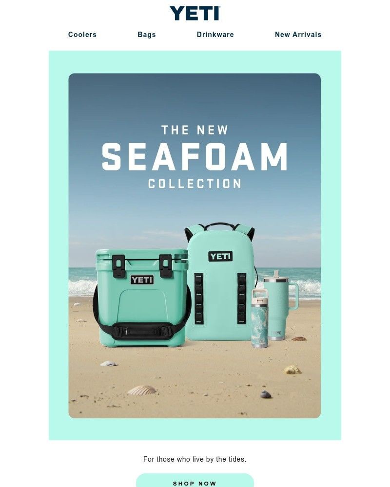 Screenshot of email with subject /media/emails/dive-into-the-new-seafoam-collection-d5f053-cropped-2debafef.jpg