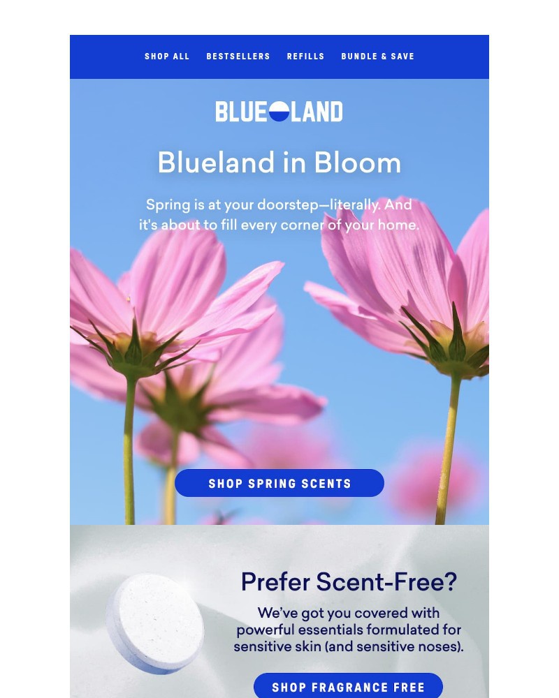 Screenshot of email sent to a Blueland Newsletter subscriber