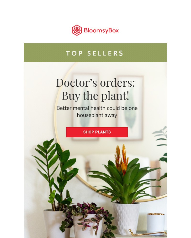 Screenshot of email with subject /media/emails/doctors-orders-buy-the-plant-17bd07-cropped-99c191c7.jpg