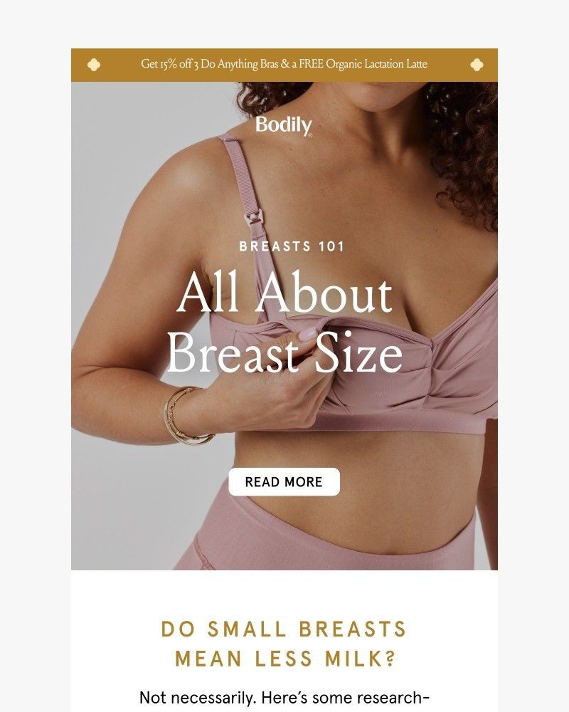 Screenshot of email with subject /media/emails/does-breast-size-affect-milk-production-64ca0d-cropped-41b4a1c5.jpg