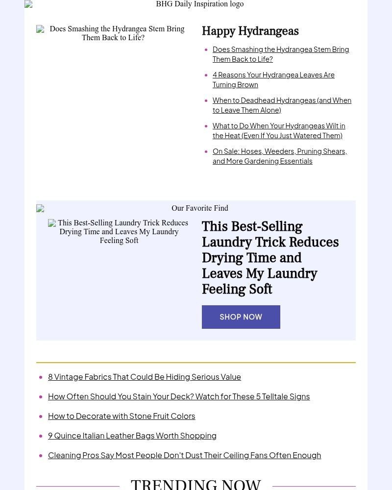 Screenshot of email with subject /media/emails/does-smashing-the-hydrangea-stem-bring-them-back-to-life-f19d3d-cropped-3fd06fd0.jpg