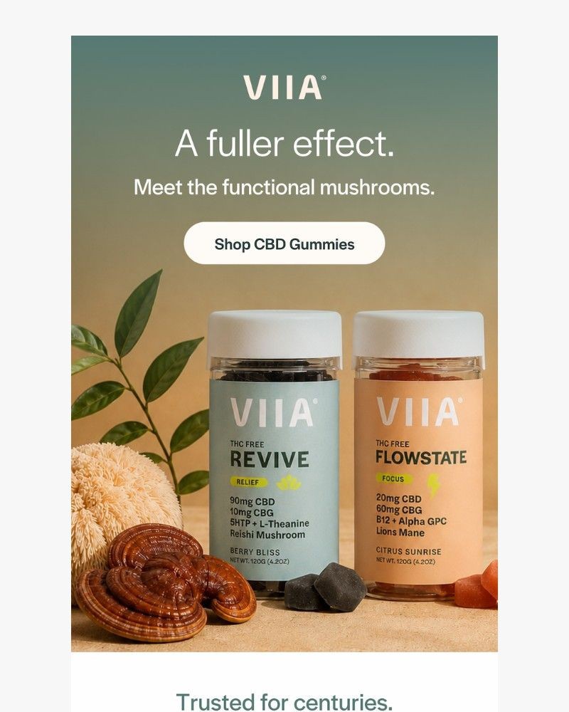 Screenshot of email sent to a VIIA Newsletter subscriber