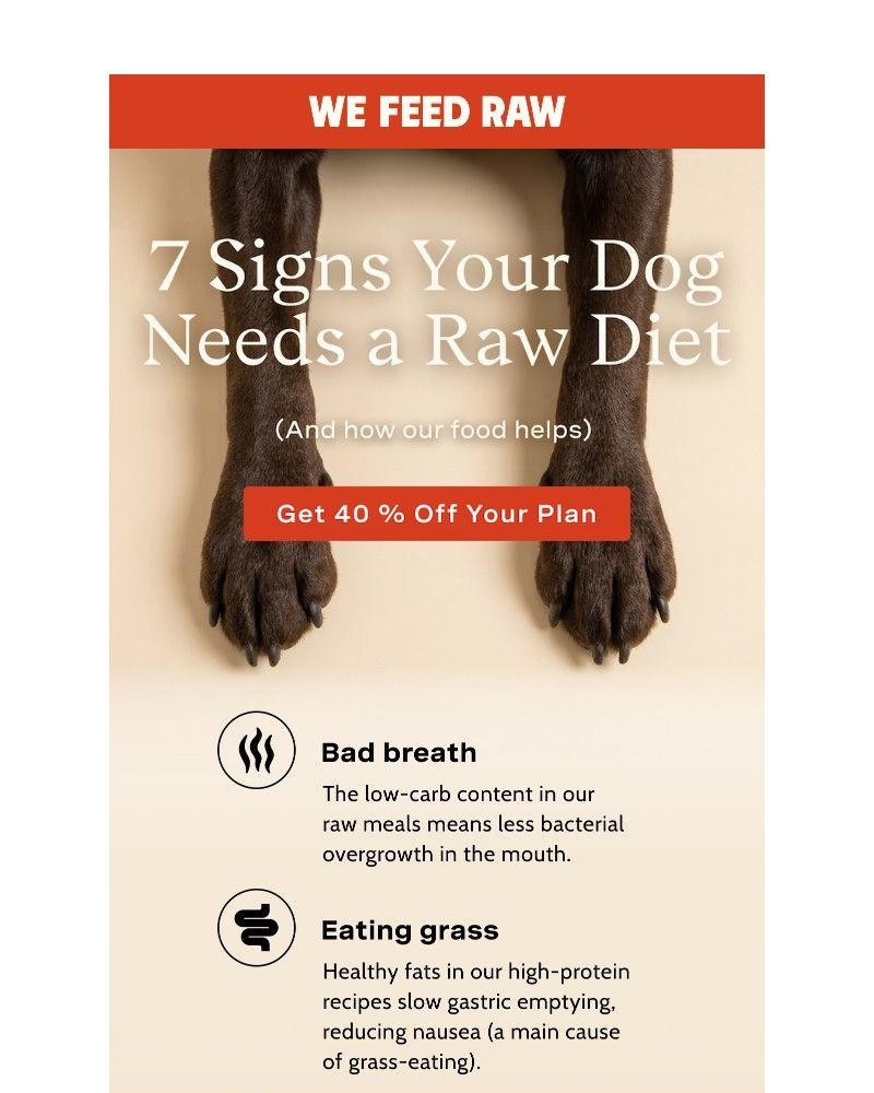 Screenshot of email with subject /media/emails/does-your-pup-see-the-signs-too-61446c-cropped-71098016.jpg