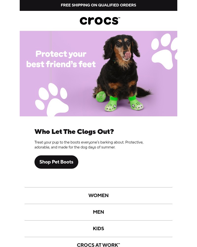 Screenshot of email with subject /media/emails/dog-boots-are-back-go-fetch-78f6c7-cropped-36d0040b.jpg