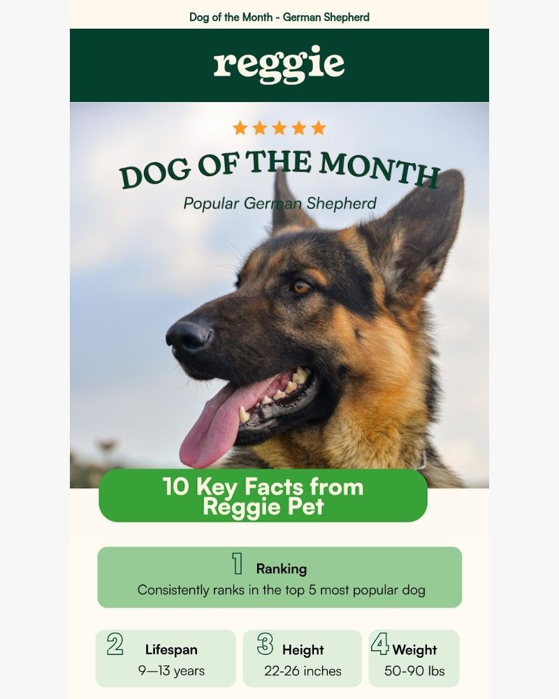 Screenshot of email sent to a reggie Newsletter subscriber