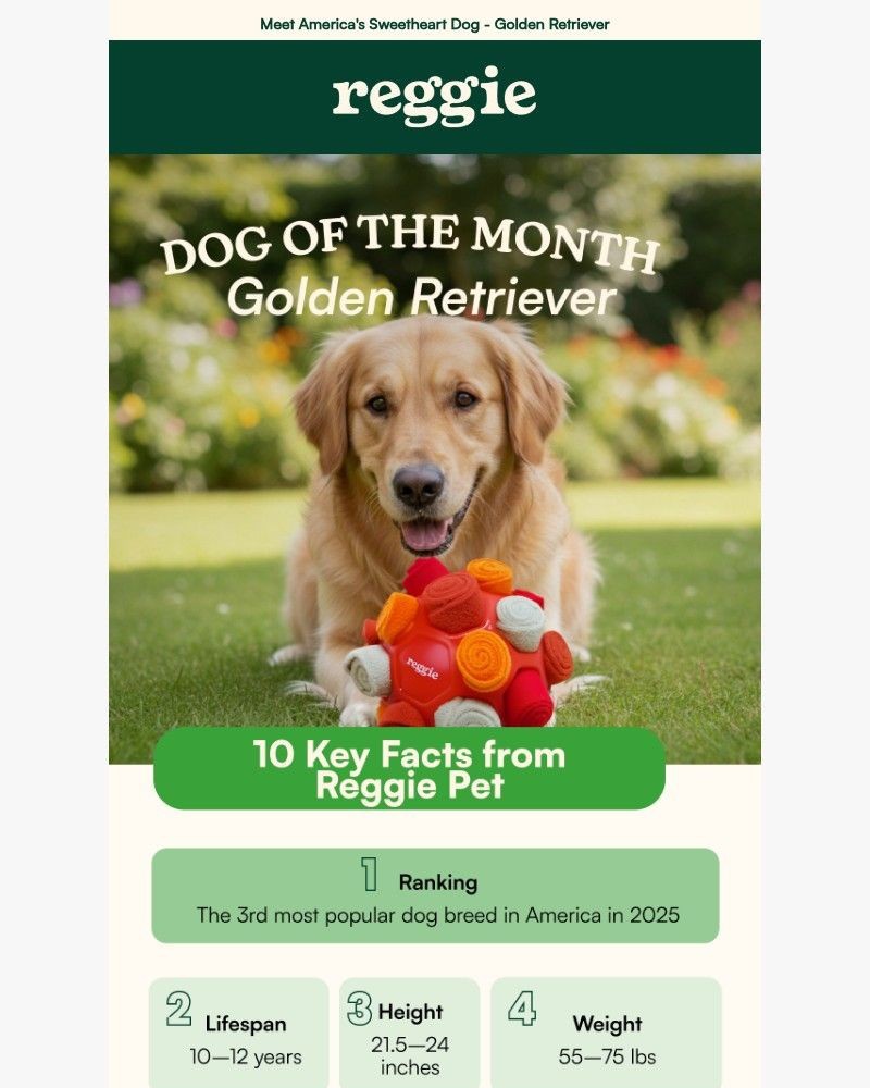 Screenshot of email with subject /media/emails/dog-of-the-month-golden-retriever-fc1c2d-cropped-72a2dc91.jpg