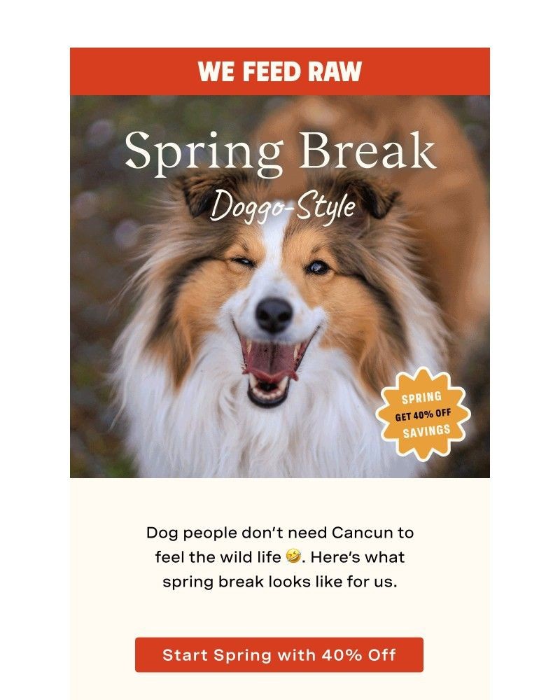 Screenshot of email sent to a We Feed Raw Newsletter subscriber