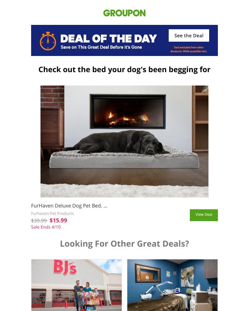 Screenshot of email with subject /media/emails/doggone-best-deal-of-the-day-4d9854-cropped-c60a6a2f.jpg