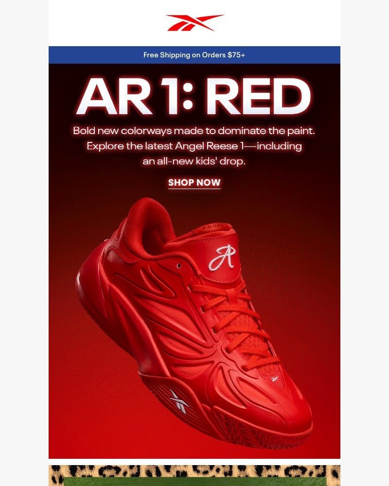 Screenshot of email sent to a Reebok Newsletter subscriber