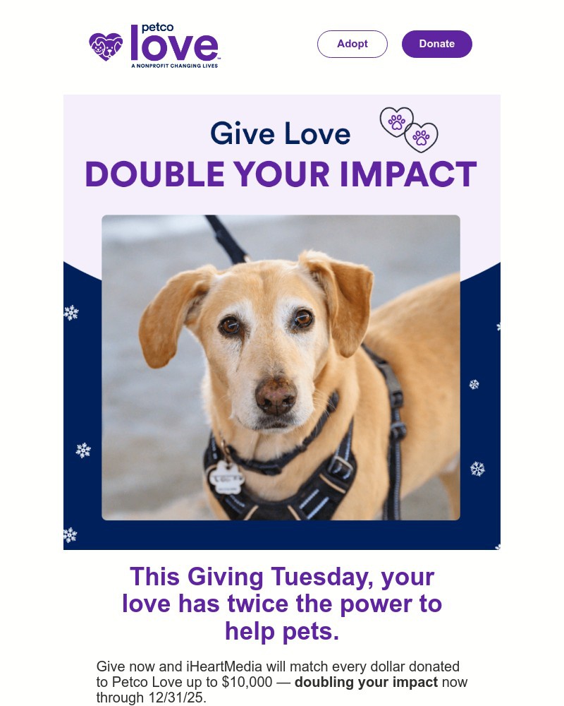 Screenshot of email with subject /media/emails/donation-match-double-your-impact-today-2bbf4f-cropped-9a5ea10c.jpg