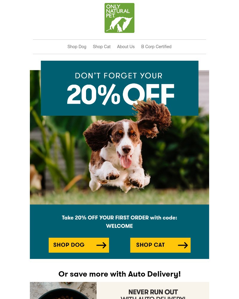 Screenshot of email with subject /media/emails/dont-forget-20-off-04950c-cropped-69e2d85a.jpg