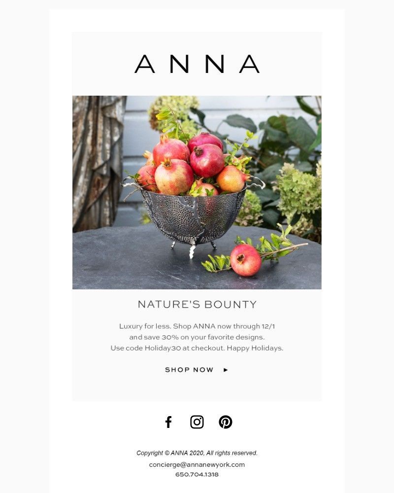 Screenshot of email with subject /media/emails/dont-forget-black-friday-sale-save-30-off-e977c1-cropped-b3476787.jpg