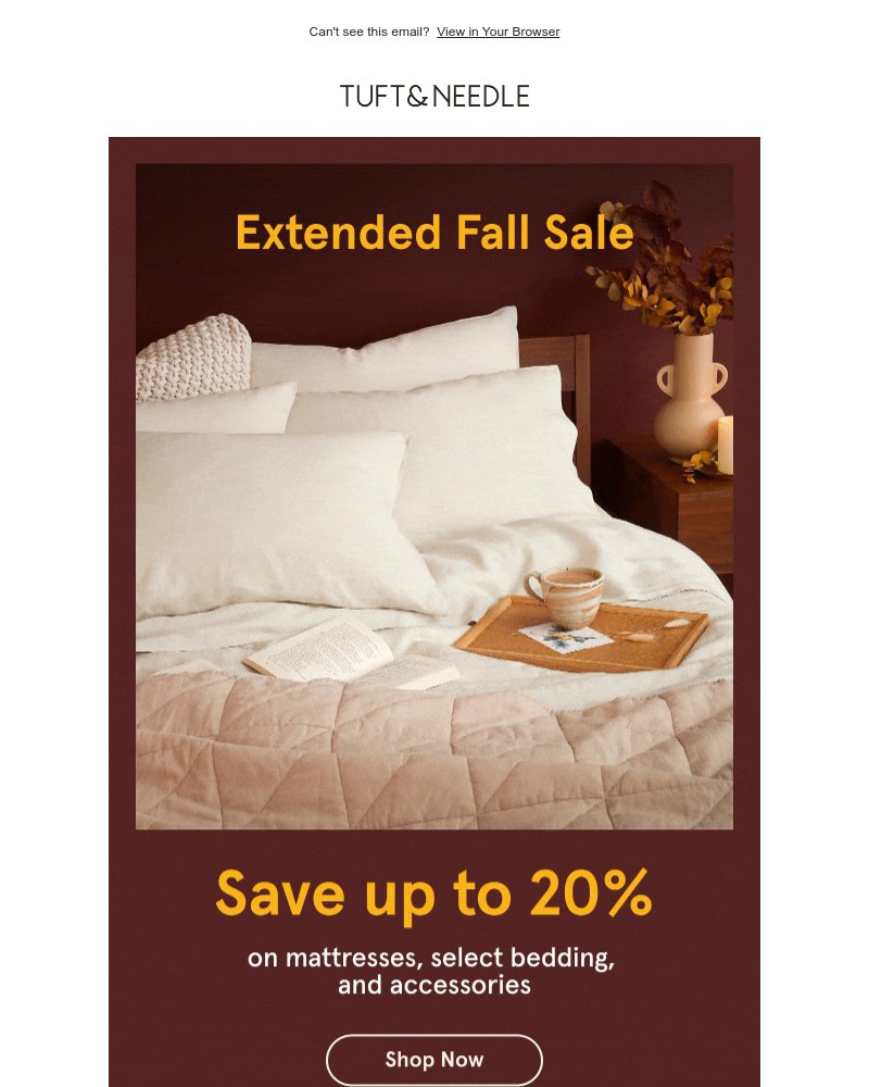 Screenshot of email with subject /media/emails/dont-forget-we-extended-the-sale-f73fdb-cropped-88bb5c20.jpg
