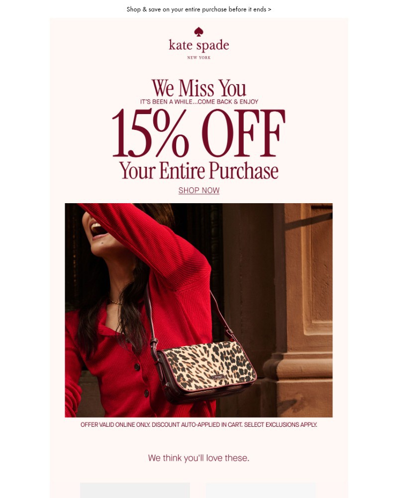 Screenshot of email with subject /media/emails/dont-forget-your-15-off-0c76d9-cropped-08023db8.jpg