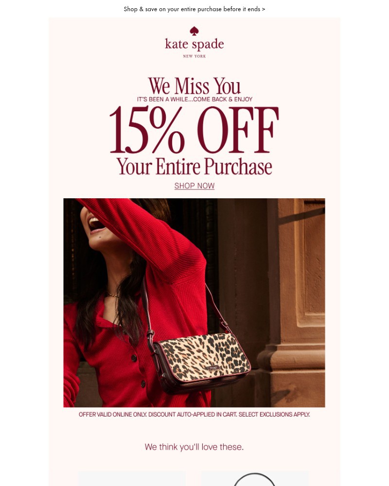 Screenshot of email with subject /media/emails/dont-forget-your-15-off-59329b-cropped-60e1390b.jpg