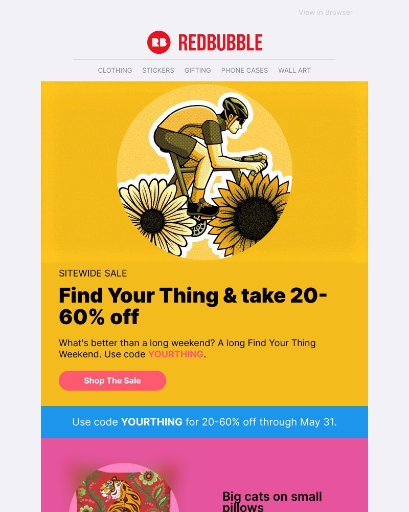 Screenshot of email with subject /media/emails/dont-forget-your-thing-is-still-20-60-off-56121d-cropped-d7baed84.jpg