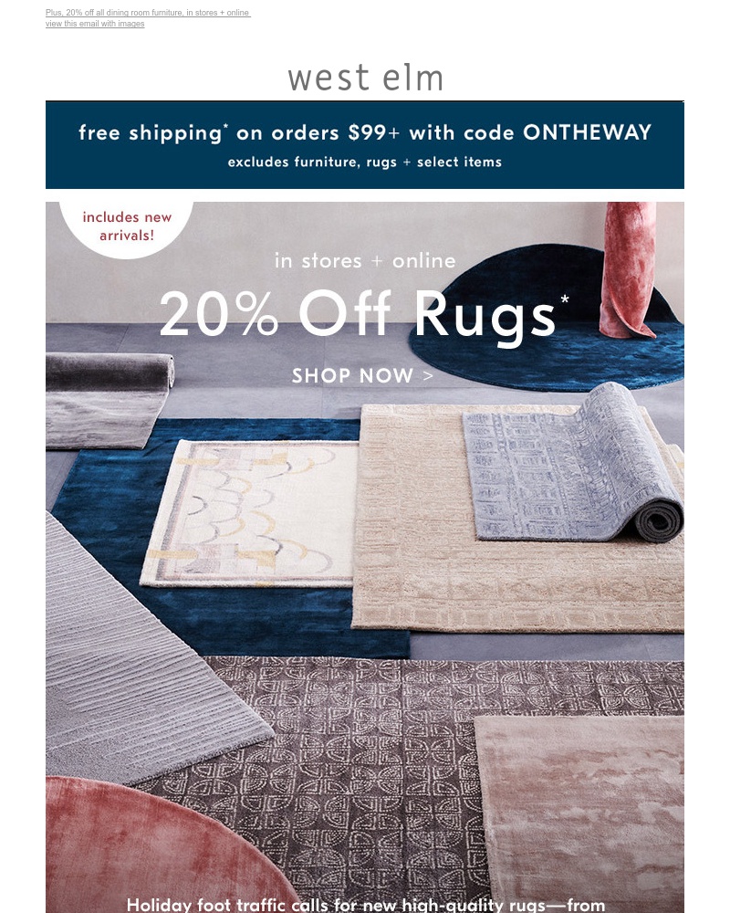 Screenshot of email with subject /media/emails/dont-get-cold-feet-this-fall-every-rug-is-on-sale-starting-now-cropped-18ab6831.jpg