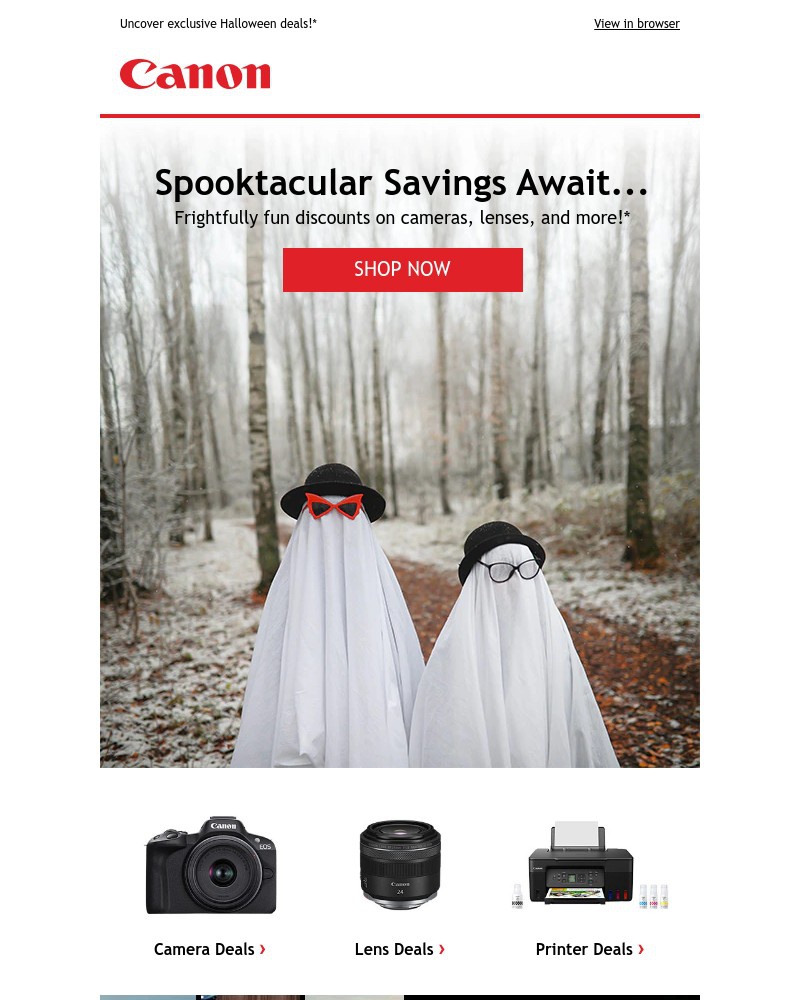 Screenshot of email with subject /media/emails/dont-get-haunted-by-fomo-380454-cropped-4d2f2941.jpg