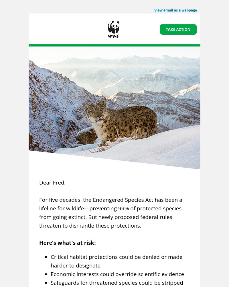 Screenshot of email with subject /media/emails/dont-let-50-years-of-wildlife-protection-endact-by-1222-464bb6-cropped-ca54c9dc.jpg