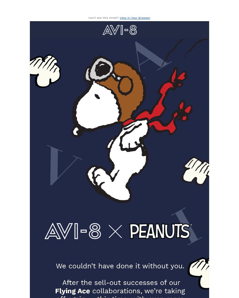 Screenshot of email sent to a AVI-8 Newsletter subscriber