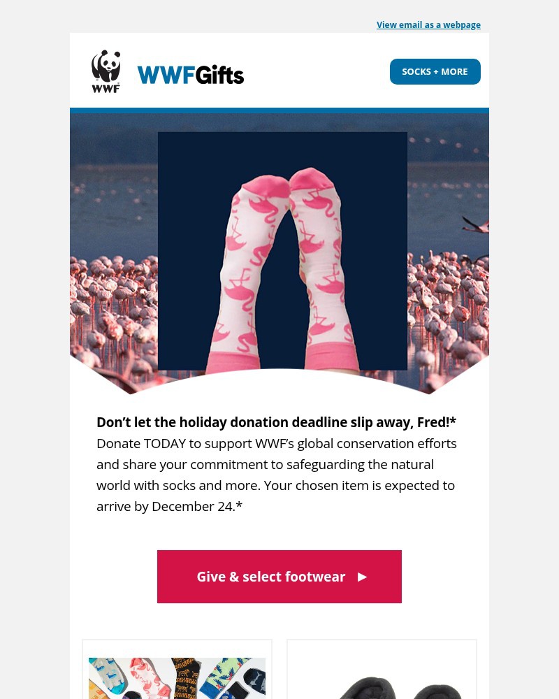 Screenshot of email with subject /media/emails/dont-let-the-holiday-shipping-deadline-slip-away-fred-431043-cropped-206e00cf.jpg