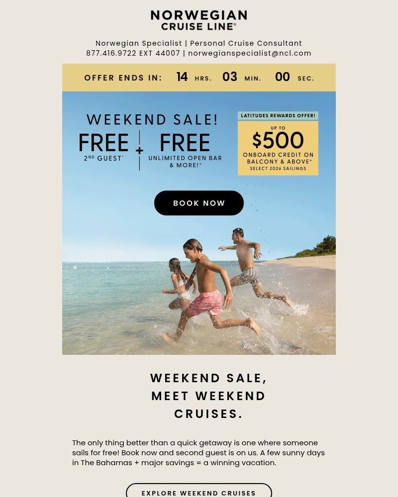 Screenshot of email with subject /media/emails/dont-let-the-weekend-sale-end-without-you-fe3432-cropped-36576408.jpg