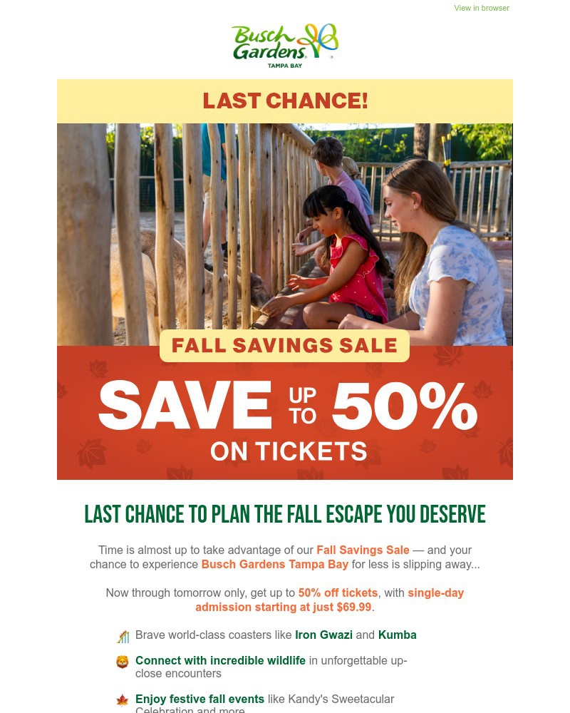Screenshot of email with subject /media/emails/dont-let-these-fall-savings-disappear-ends-tomorrow-105f52-cropped-167a4beb.jpg