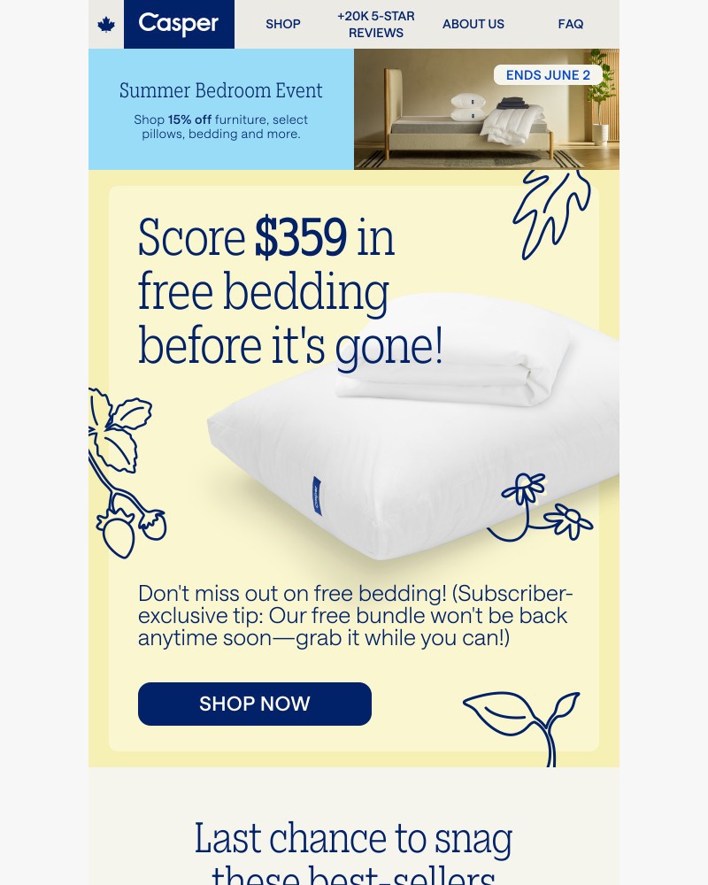 Screenshot of email with subject /media/emails/dont-miss-359-in-free-bedding-35e36a-cropped-896bd1ff.jpg