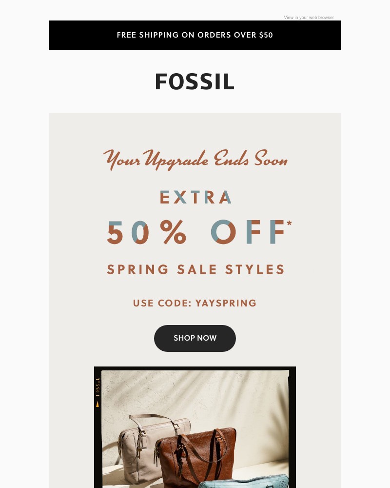Screenshot of email with subject /media/emails/dont-miss-exclusive-dibs-on-50-off-262192-cropped-df887130.jpg