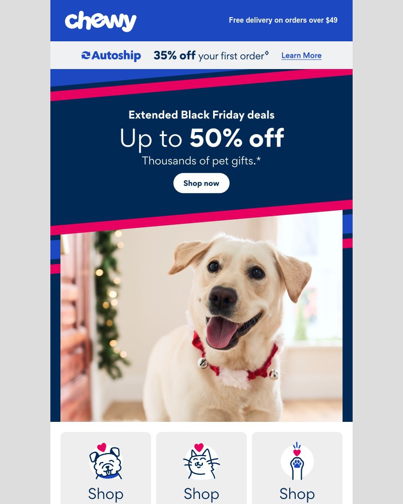 Screenshot of email with subject /media/emails/dont-miss-extended-black-friday-savings-62990a-cropped-b0e5232f.jpg