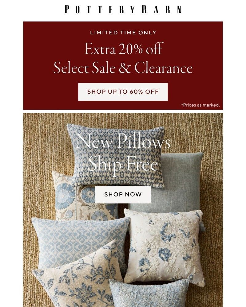 Screenshot of email with subject /media/emails/dont-miss-extra-20-off-select-sale-clearance-pillow-refresh-shippings-on-us-5938e_rrKD1qh.jpg