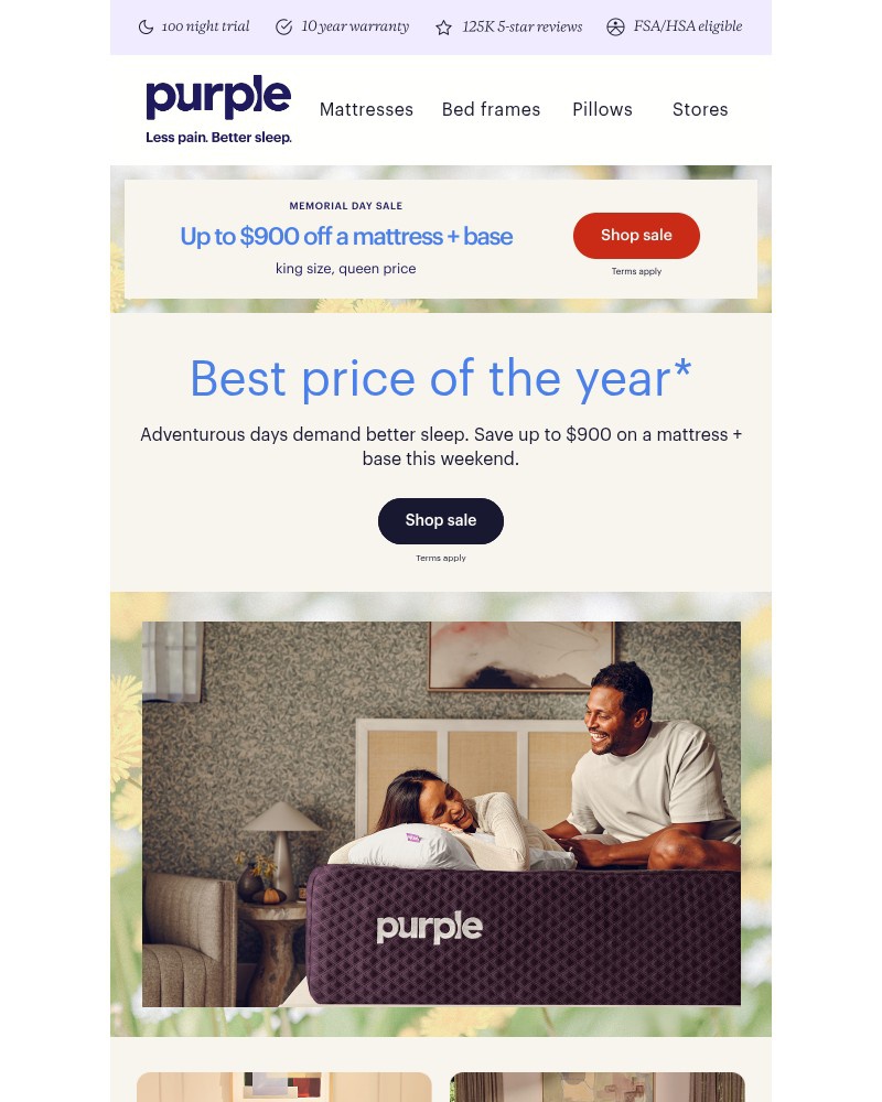 Screenshot of email with subject /media/emails/dont-miss-it-our-best-prices-of-the-year-f8c24e-cropped-f12091ac.jpg