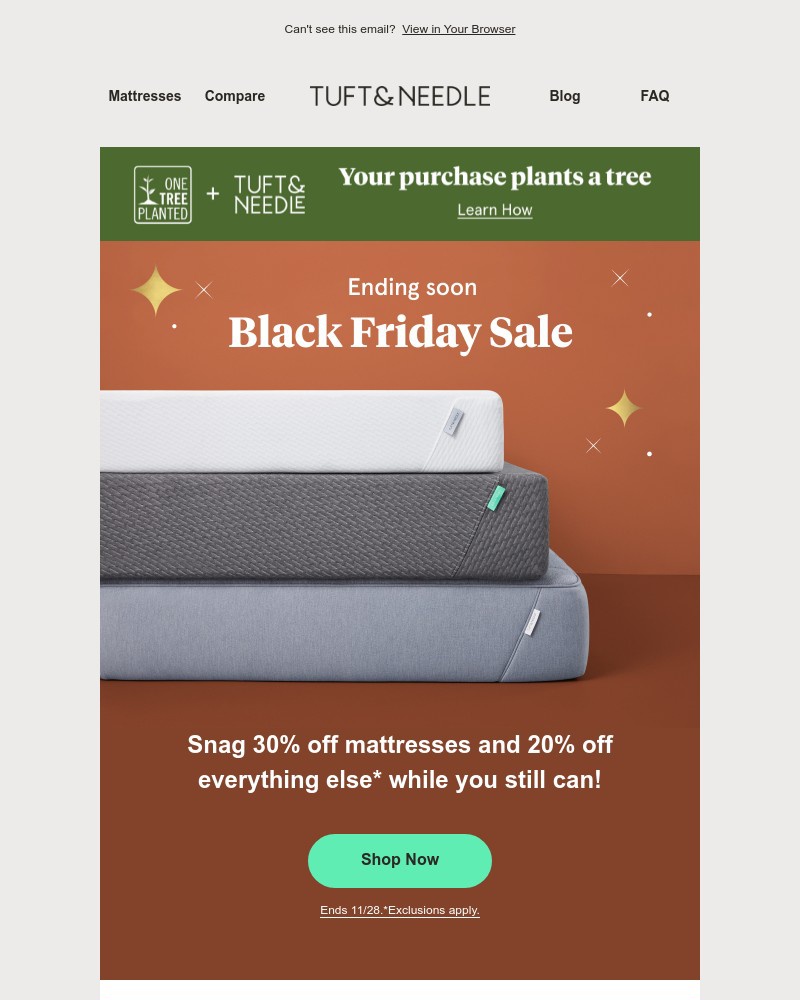 Screenshot of email with subject /media/emails/dont-miss-our-best-prices-of-the-year-260436-cropped-366609c5.jpg