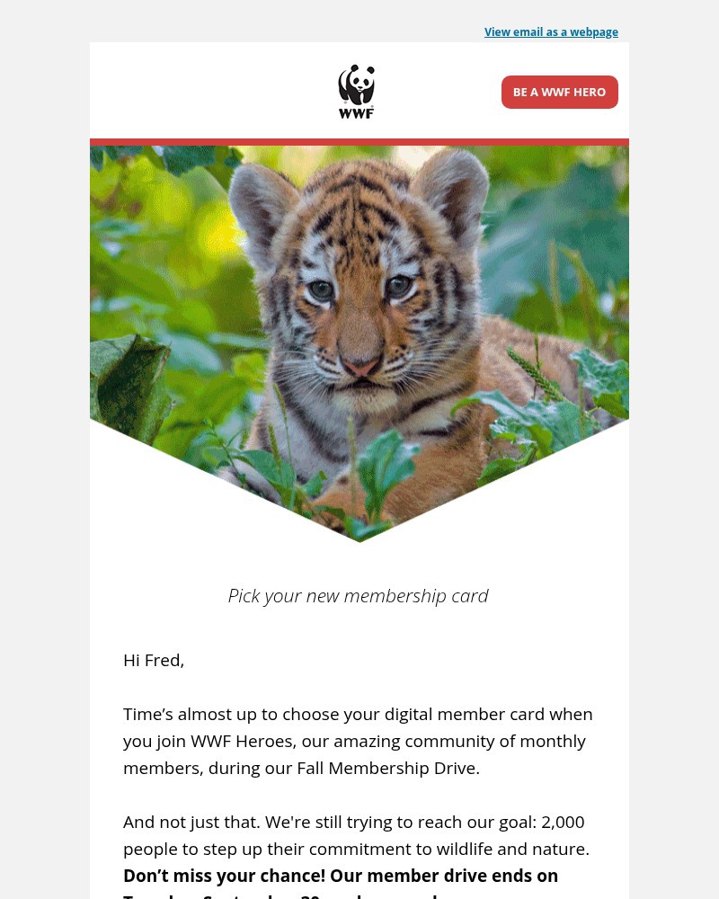 Screenshot of email with subject /media/emails/dont-miss-out-choose-your-member-card-282a33-cropped-a1459ffc.jpg