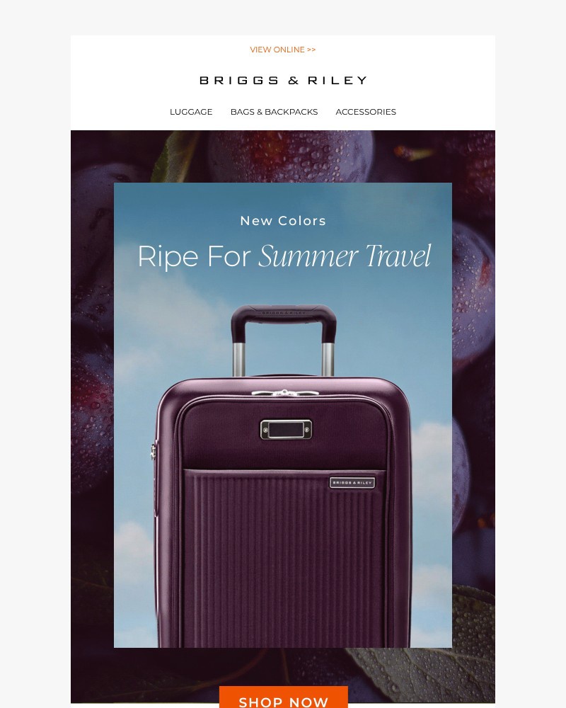 Screenshot of email with subject /media/emails/dont-miss-out-new-sympatico-front-pocket-colors-1ccc0b-cropped-1aa38d74.jpg