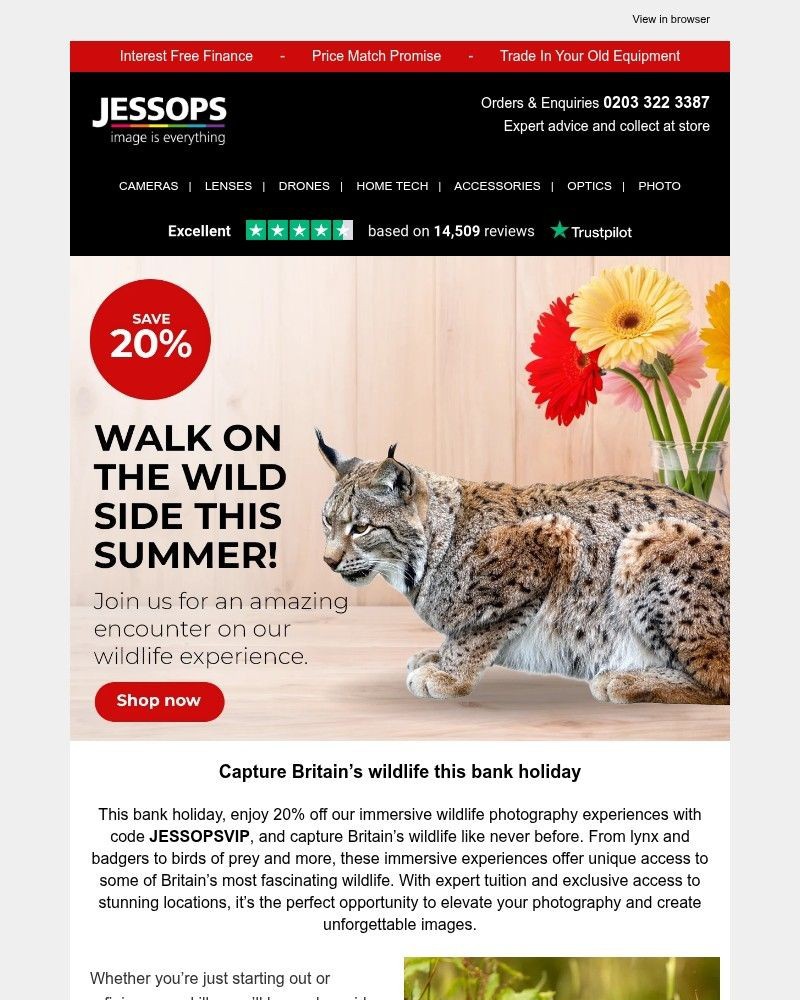 Screenshot of email with subject /media/emails/dont-miss-out-save-20-on-our-wildlife-experience-this-bank-holiday-732b99-cropped_ojdqWgG.jpg