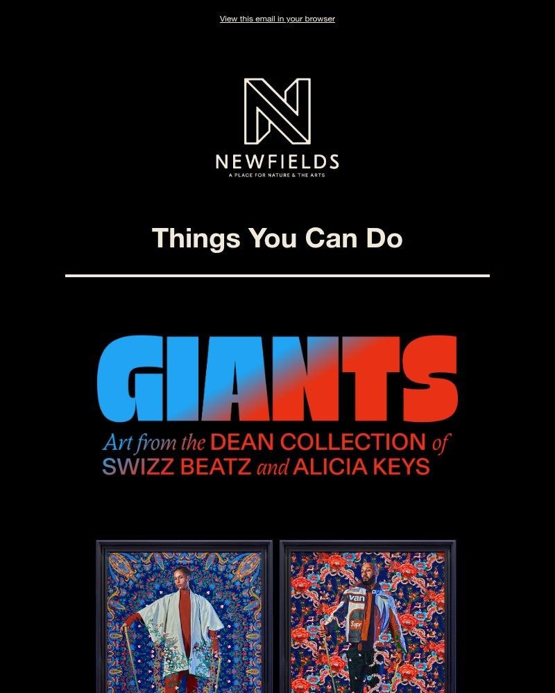 Screenshot of email sent to a Newfields Newsletter subscriber