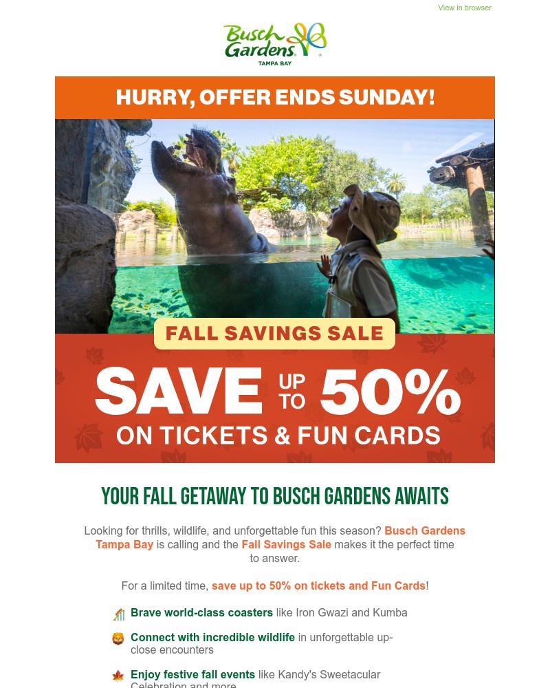 Screenshot of email with subject /media/emails/dont-miss-the-fall-sale-save-up-to-50-on-tickets-and-fun-cards-4ba317-cropped-6d10a637.jpg