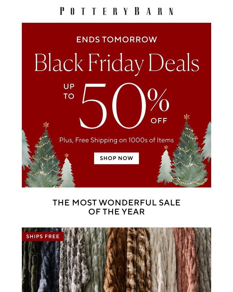 Screenshot of email with subject /media/emails/dont-miss-the-most-wonderful-sale-of-the-year-4917b2-cropped-d5ebd12e.jpg