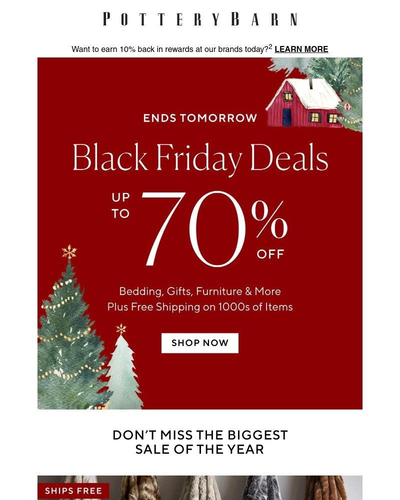 Screenshot of email with subject /media/emails/dont-miss-the-most-wonderful-sale-of-the-year-cb9f22-cropped-97df2d1f.jpg
