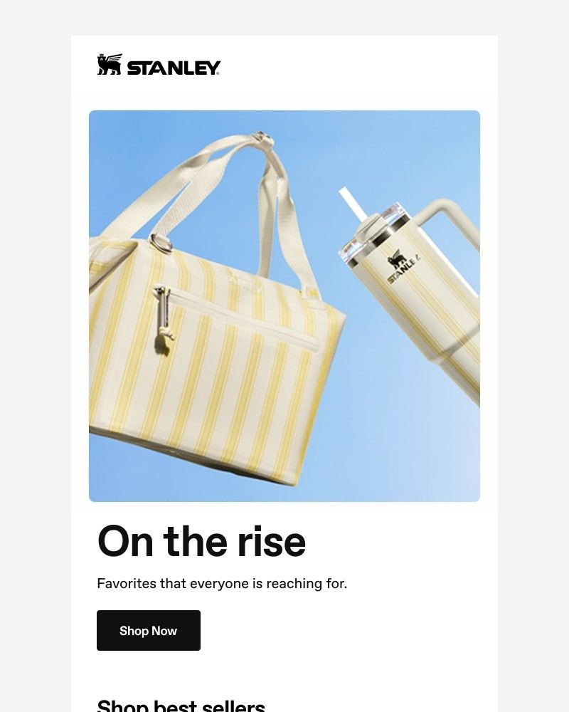 Screenshot of email sent to a Stanley Newsletter subscriber