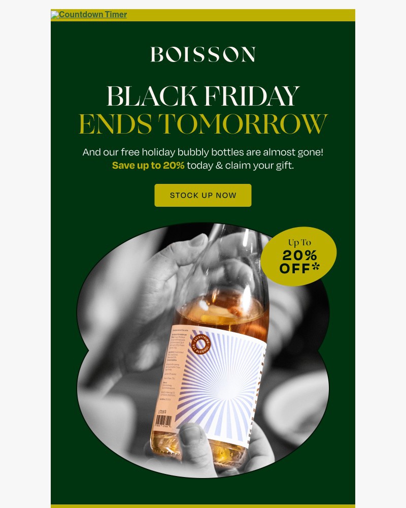 Screenshot of email with subject /media/emails/dont-miss-this-black-friday-closes-tomorrow-46d522-cropped-a9293ab7.jpg