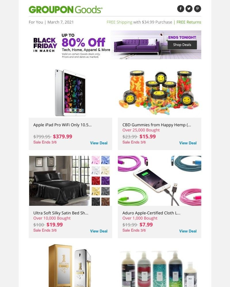 Screenshot of email with subject /media/emails/dont-miss-this-black-friday-in-march-ends-soon-1d02c5-cropped-b955b2d2.jpg