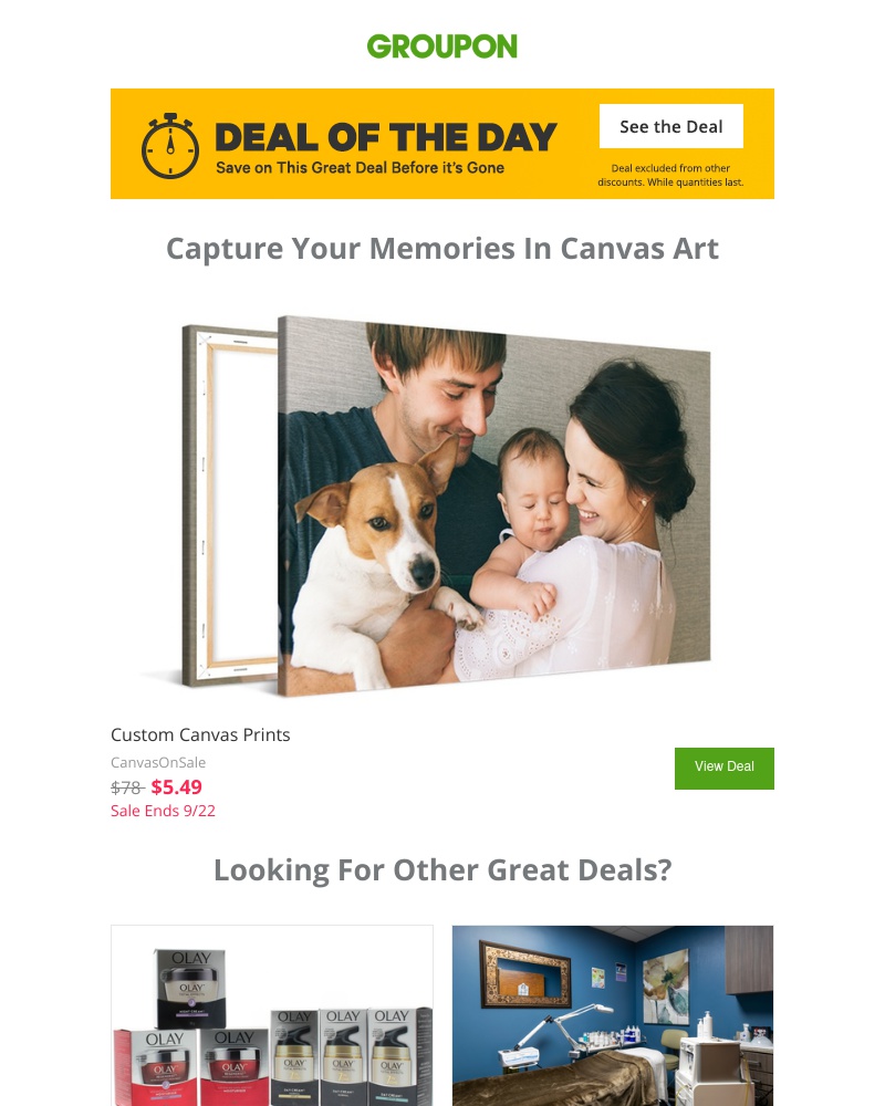 Screenshot of email with subject /media/emails/dont-miss-this-picture-perfect-deal-of-the-day-638bc0-cropped-c03965c5.jpg